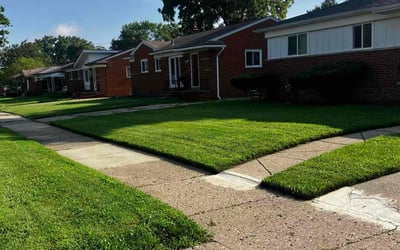 Photo of Amanda A.'s yard after getting lawn care in West Bloomfield, MI