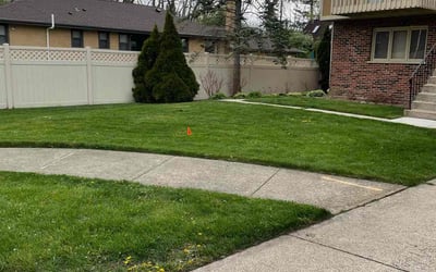 Photo of Paula I.'s yard after getting lawn care in Des Plaines, IL