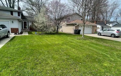 Photo of Reginald B.'s yard after getting lawn care in Hinckley, OH