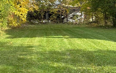 Photo of James K.'s yard after getting lawn care in Wickliffe, OH