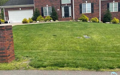 Photo of Judge C.'s yard after getting lawn care in Conover, NC