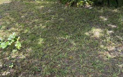 Photo of Peter M.'s yard after getting lawn care in Burr Ridge, IL