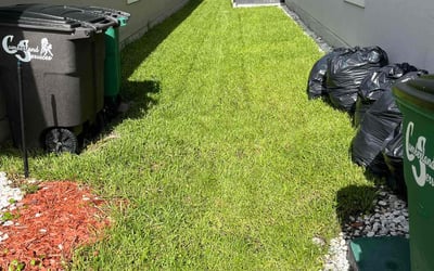 Photo of Norma R.'s yard after getting lawn care in Red Bank, NJ