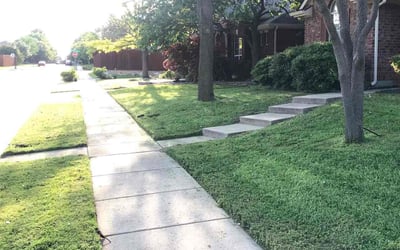 Photo of Kimberly H.'s yard after getting lawn care in Scottsdale, AZ
