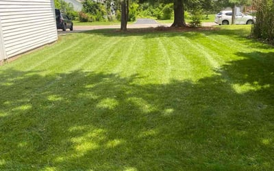 Photo of Lee T.'s yard after getting lawn care in Harrison, OH