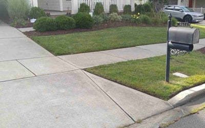 Photo of Andrew I.'s yard after getting lawn care in Huntersville, NC