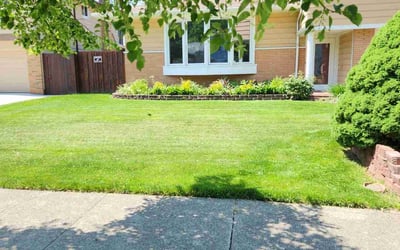 Photo of Nikolas G.'s yard after getting lawn care in Painesville, OH