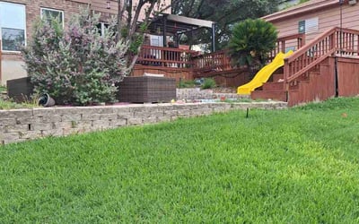 Photo of Cynthia H.'s yard after getting lawn care in San Antonio, TX