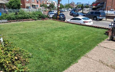 Photo of Erin C.'s yard after getting lawn care in Fair Oaks, CA