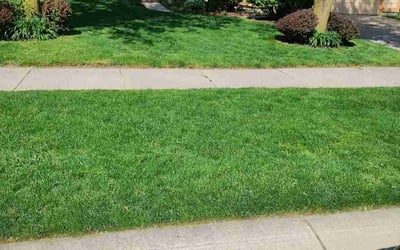 Photo of Aziza H.'s yard after getting lawn care in Auburn Hills, MI