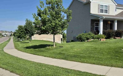 Photo of Dana S.'s yard after getting lawn care in Inglewood, CA
