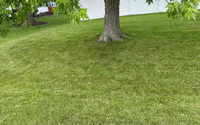 Photo of Christina H.'s yard after getting lawn care in New Lenox, IL