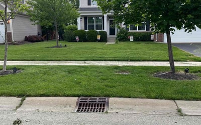Photo of Daniel P.'s yard after getting lawn care in Huntley, IL
