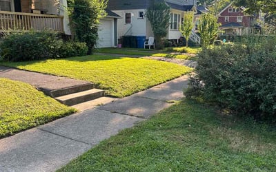 Photo of Teri L.'s yard after getting lawn care in Geneva, NY