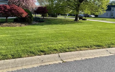 Photo of Cynthia M.'s yard after getting lawn care in Glen Mills, PA