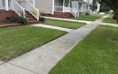 Photo of Tyrone J.'s yard after getting lawn care in Irvington, NJ
