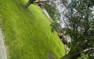 Photo of Sandy D.'s yard after getting lawn care in Ballston Spa, NY