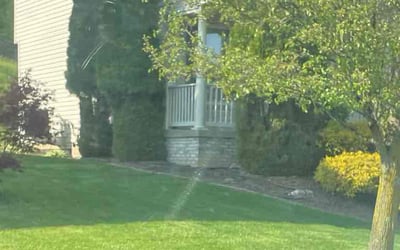 Photo of Caleb B.'s yard after getting lawn care in Midland, PA