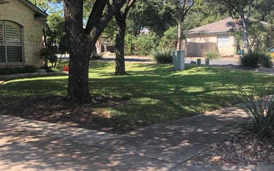 Photo of Shirley W.'s yard after getting lawn care in Leander, TX