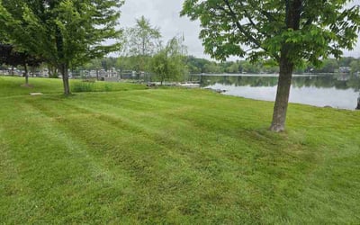 Photo of Blake B.'s yard after getting lawn care in Dickinson, TX
