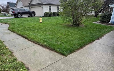 Photo of Mamie J.'s yard after getting lawn care in Jeffersonville, IN