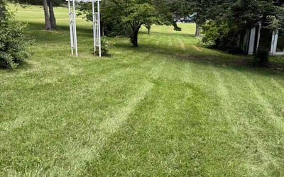 Photo of Maria S.'s yard after getting lawn care in Quincy, MA