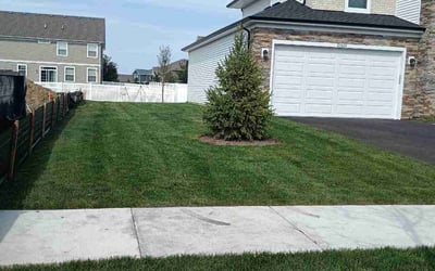 Photo of Nikki E.'s yard after getting lawn care in Plainfield, IL