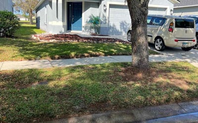 Photo of Henry L.'s yard after getting lawn care in Pflugerville, TX