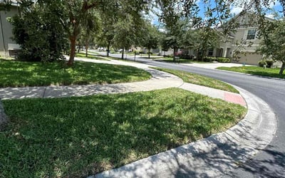 Photo of Ezsa S.'s yard after getting lawn care in West Palm Beach, FL