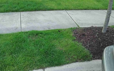 Photo of Hannah W.'s yard after getting lawn care in Lockport, IL