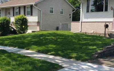 Photo of Nollie R.'s yard after getting lawn care in Glendale Heights, IL