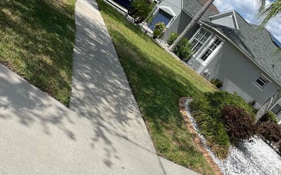 Photo of Luz S.'s yard after getting lawn care in DeBary, FL