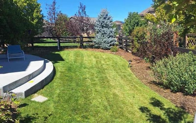 Photo of Celia C.'s yard after getting lawn care in Aurora, CO