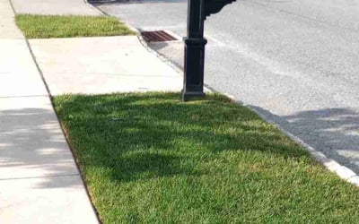 Photo of Russell S.'s yard after getting lawn care in Souderton, PA