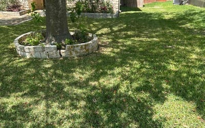 Photo of Lauren S.'s yard after getting lawn care in Pflugerville, TX