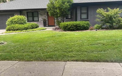 Photo of Nancy M.'s yard after getting lawn care in Park Ridge, IL