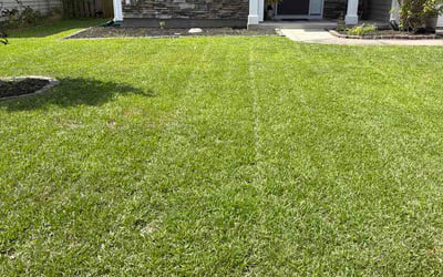 Photo of Tom L.'s yard after getting lawn care in Milford, MI