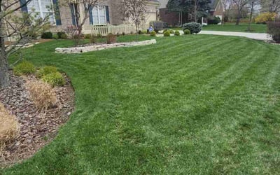 Photo of Daniel H.'s yard after getting lawn care in Sardinia, OH