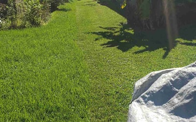 Photo of Monica H.'s yard after getting lawn care in Lancaster, CA