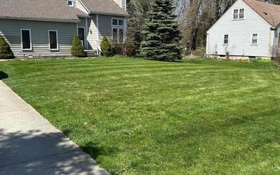 Photo of Tristin S.'s yard after getting lawn care in Harrison Township, MI