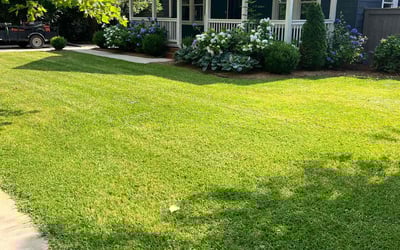 Photo of Moises M.'s yard after getting lawn care in Fort Worth, TX