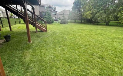 Photo of Sandra M.'s yard after getting lawn care in Prior Lake, MN