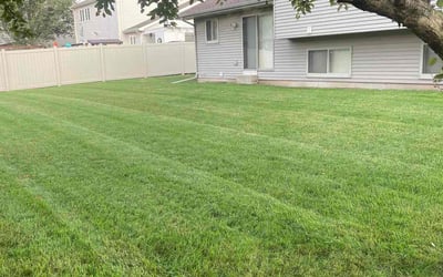 Photo of Jorge L.'s yard after getting lawn care in Oswego, IL