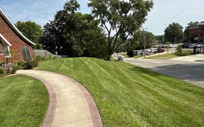 Photo of Tosh S.'s yard after getting lawn care in The Colony, TX