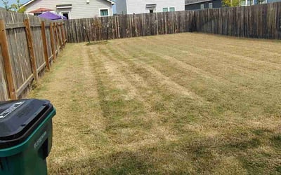 Photo of Jason G.'s yard after getting lawn care in Menomonee Falls, WI
