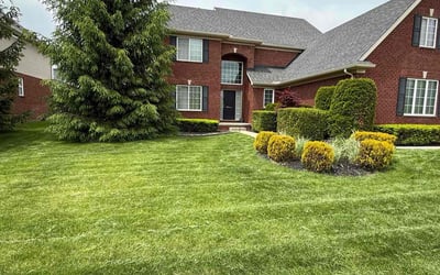 Photo of Patricia S.'s yard after getting lawn care in Leander, TX