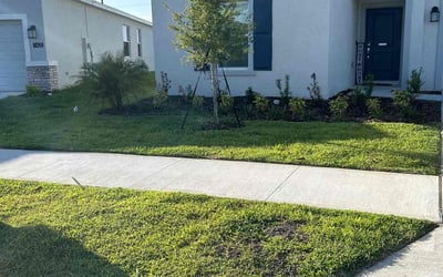 Photo of Timothy B.'s yard after getting lawn care in Sonoma, CA