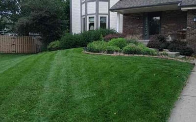 Photo of Rheana C.'s yard after getting lawn care in Elkhorn, NE