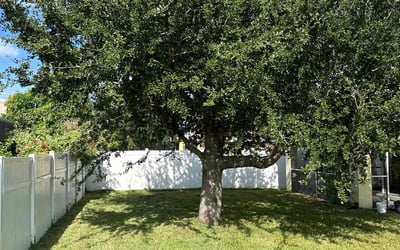 Photo of Barbara B.'s yard after getting lawn care in Fort Myers, FL