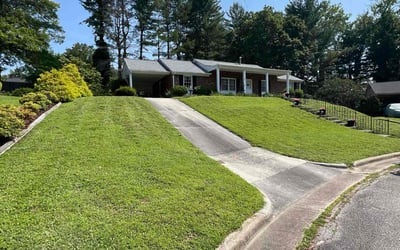 Photo of Sarah S.'s yard after getting lawn care in Danville, VA